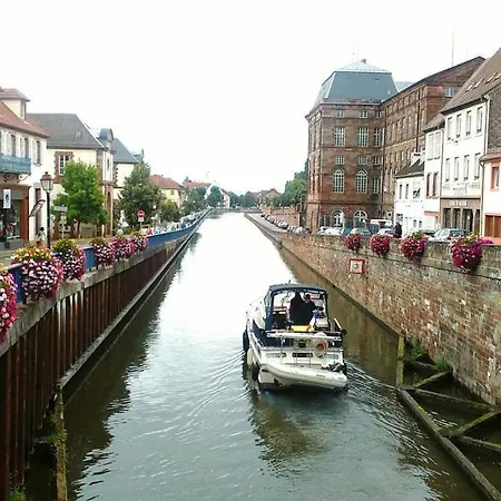 Rez-de-chausse Dans Petite Au Pied Du Massif Des Vosges *